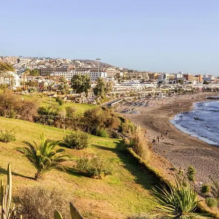 Lf De Un Con Ai Cerca De La Playa De Fanabe アデヘ
