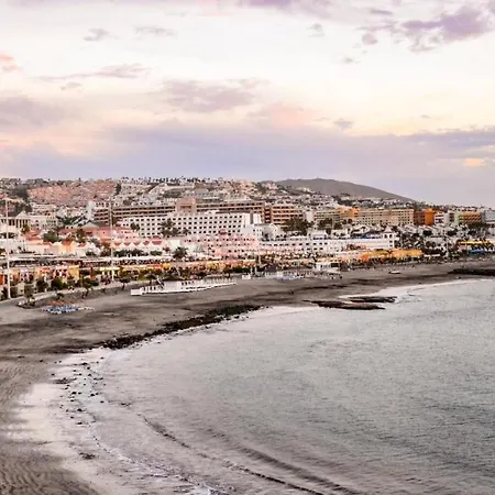 Lf De Un Con Ai Cerca De La Playa De Fanabe アデヘ